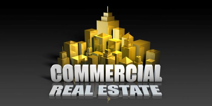 Commercial Real Estate Investment